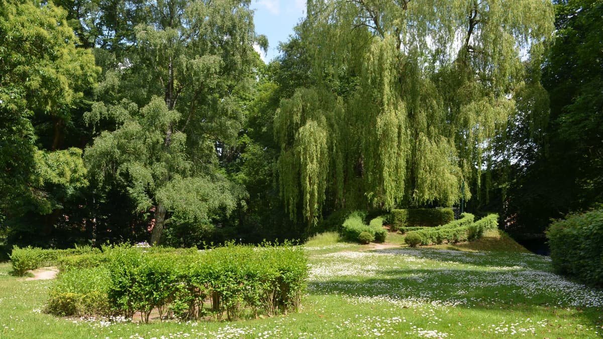 Blick in den Barkenhoff-Garten