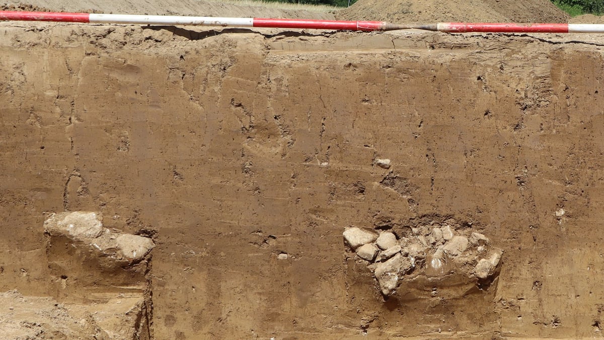 Fotoquelle: Denkmalamt Frankfurt, Foto: Michael Obst