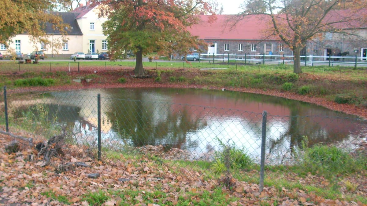 Gutshaus, Inspektorhaus und Pferdestall (Innenhof)