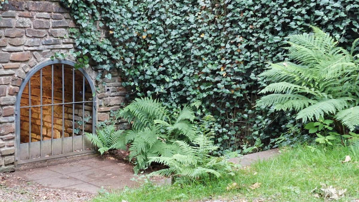 Fotoquelle: Andreas Hillesheim