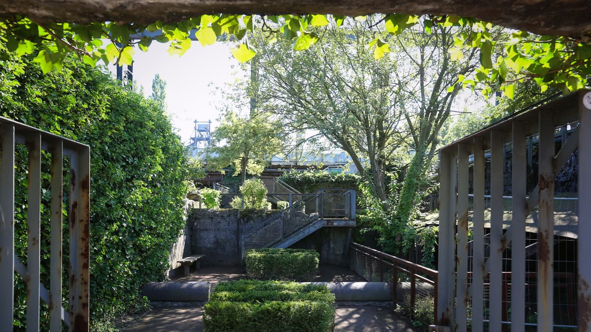 Sintergarten