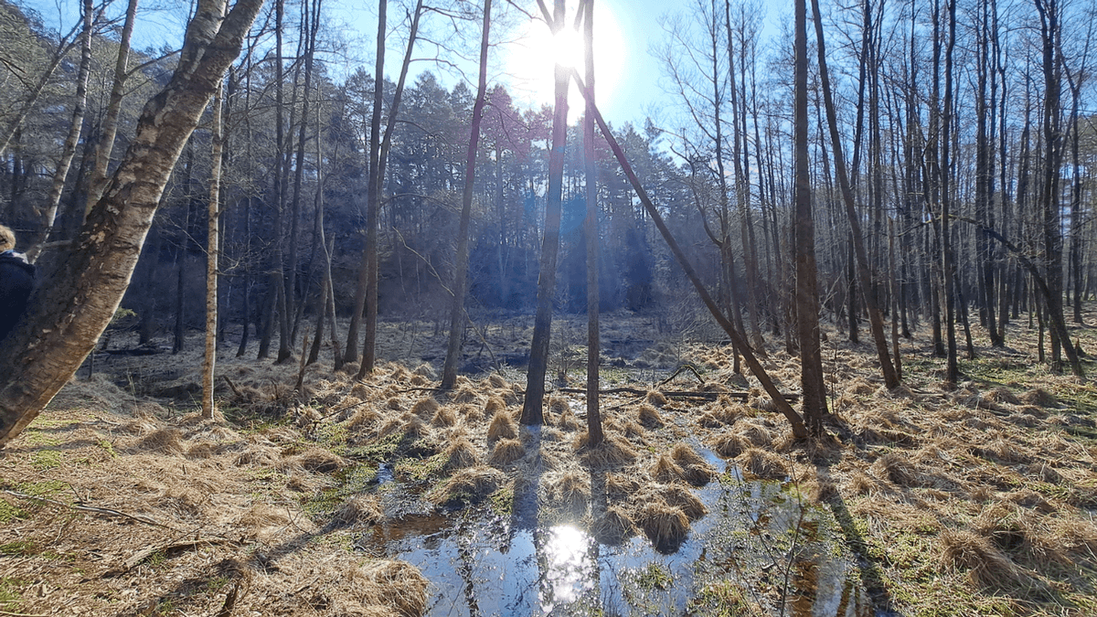 Quelltopf der Hardau