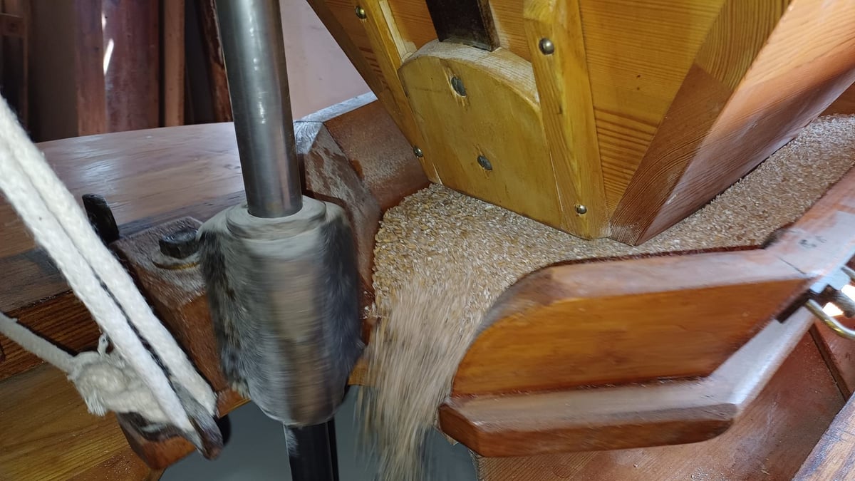 Fotoquelle: Tanja Dymale