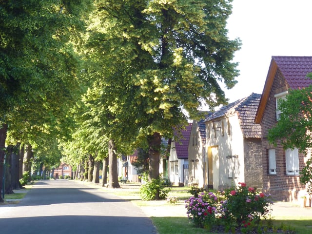 Gartendenkmal Lindenallee