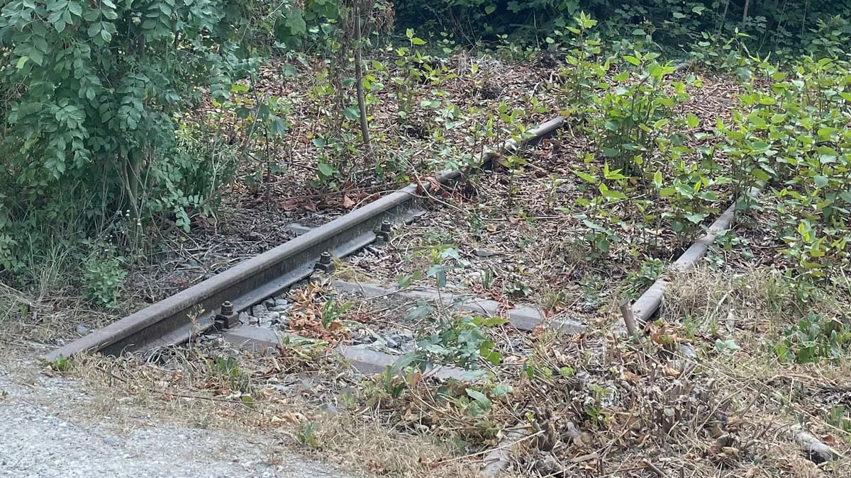 Alte Gleisschienen der Altstadtbahn