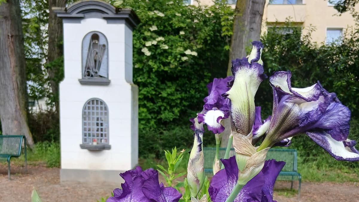 Bildstock im Mai