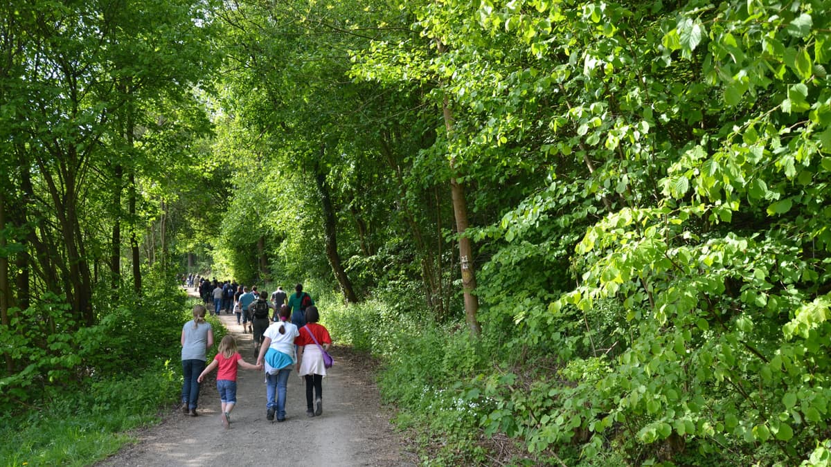 Familienwandertag Kleinkastell Neuwirtshaus