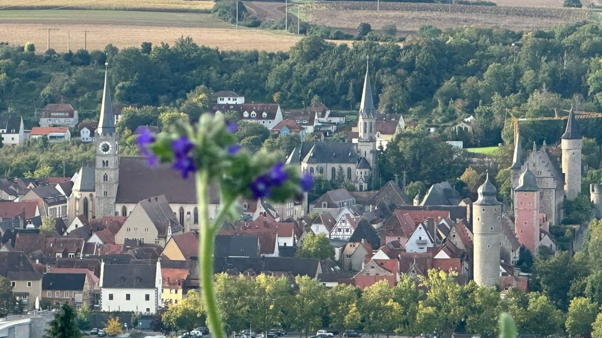 Foto: Arlena Ridler