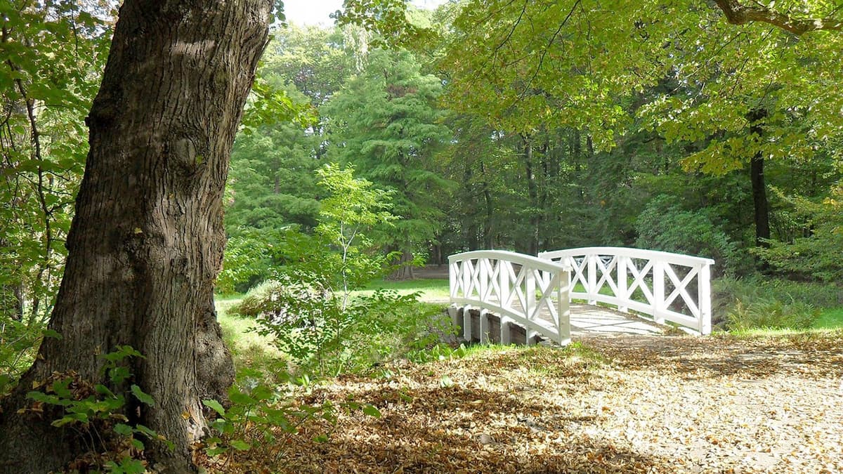 Blick in den Park Höpkens Ruh