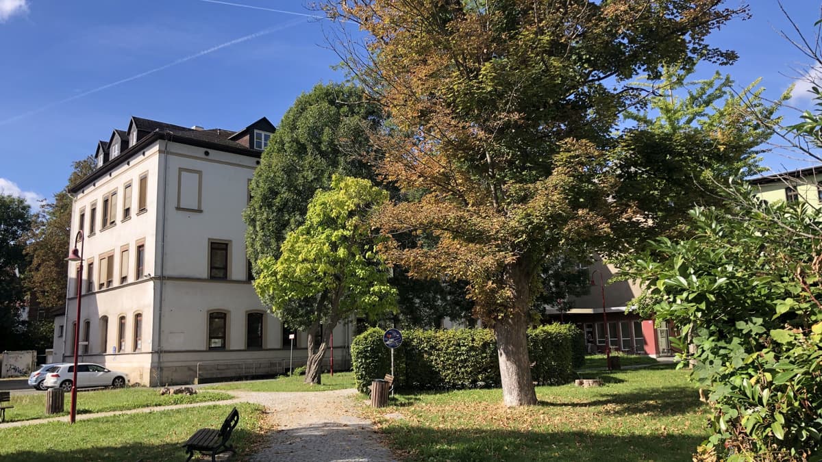 ehem. Landesheilanstalten, Reste des zentralen Parkbereiches