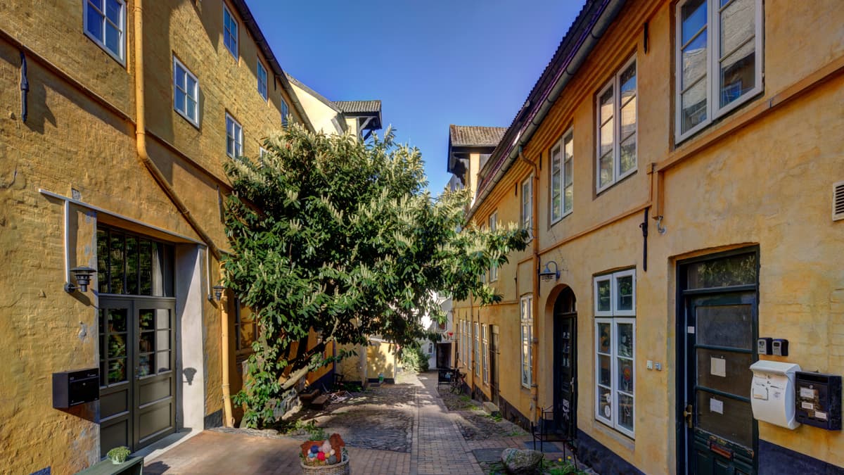 Große Straße 69, Harries-Hof