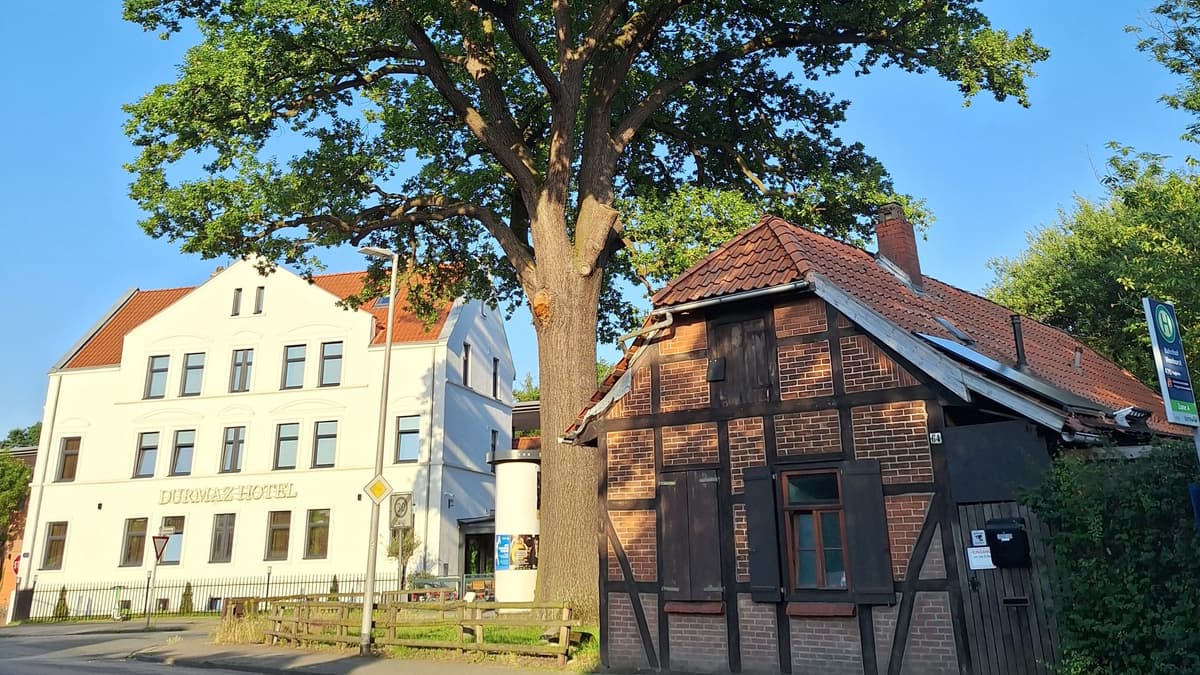 Alte Schule und Luthereiche Vinnhorst