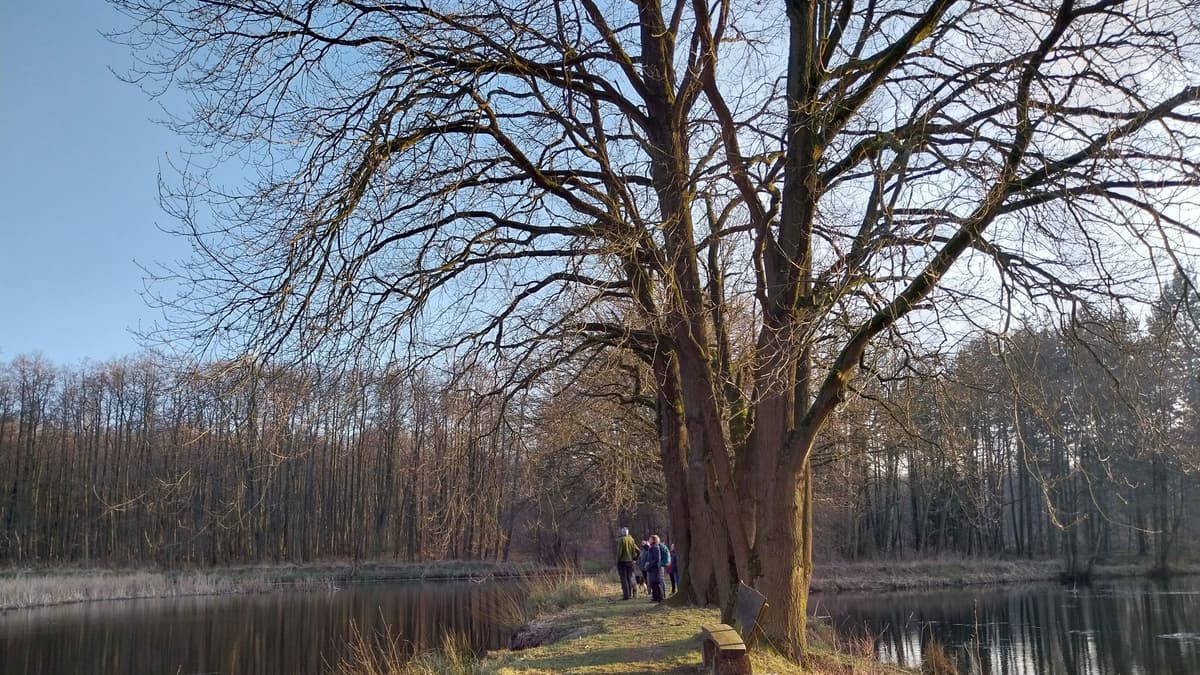Landwehrteiche