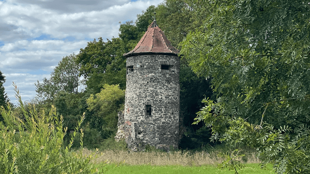 Ruine der Wasserburg Staden