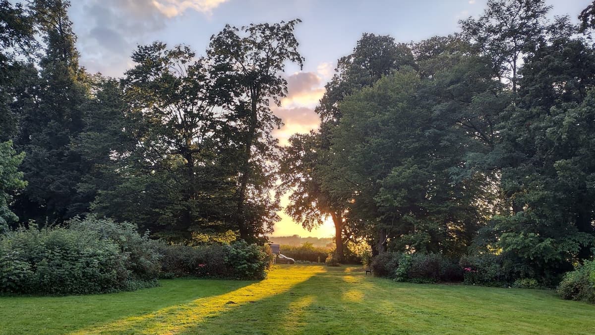 Blick in den Park
