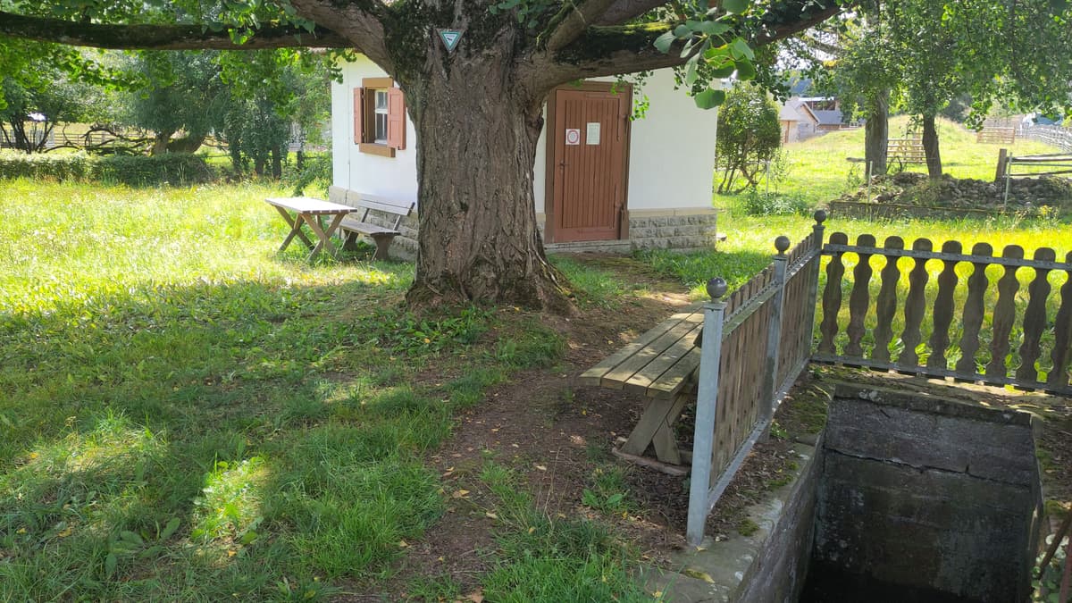 Waidäbrunna - Pumpwerk und Brunnenstube am Ginkgo Eberstadt