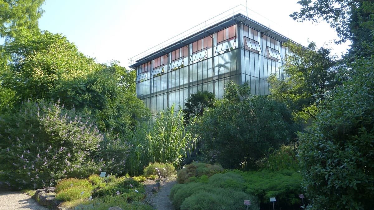 Botanischer Garten am KIT, Palmenhaus & Freigelände