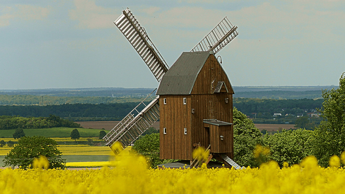 Bockwindmühle Abbenrode