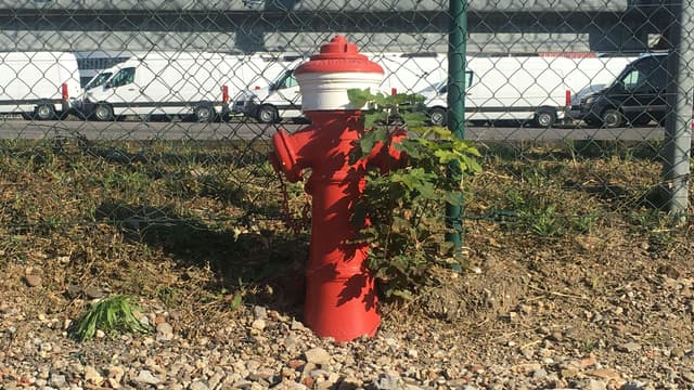 Letzter Feuerhydrant des Hafens
