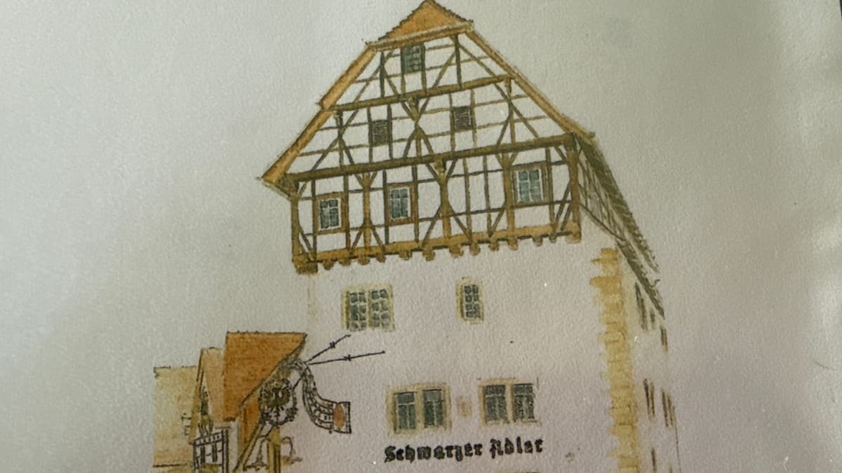 Schwarzer Adler Leonberg