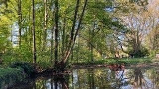 Garten & Park