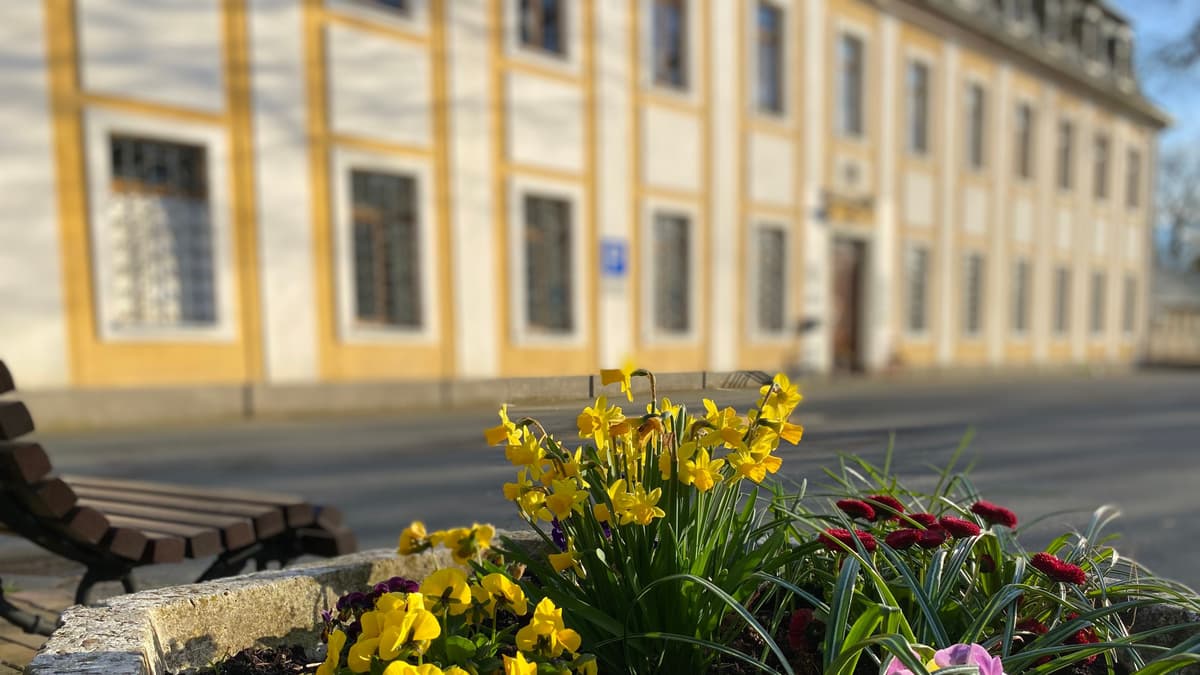 Schloss Leubnitz