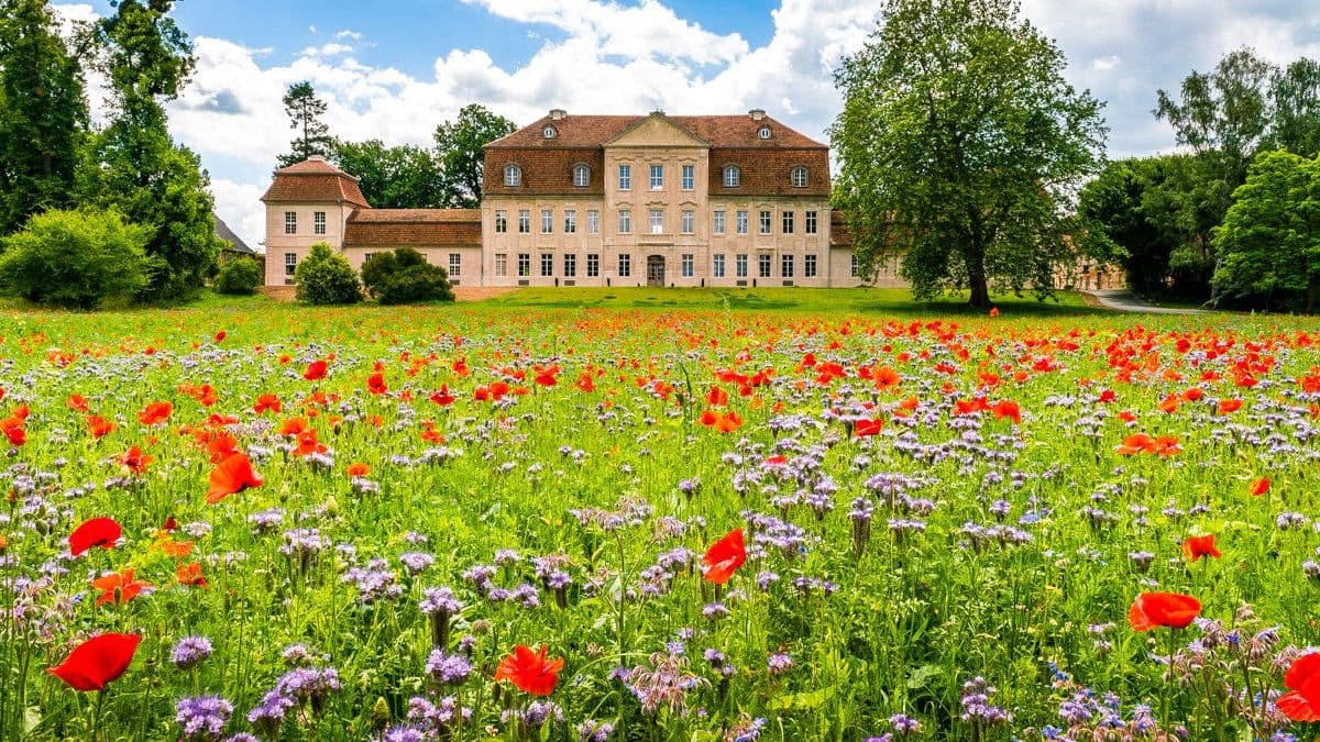 Schloss Seeseite