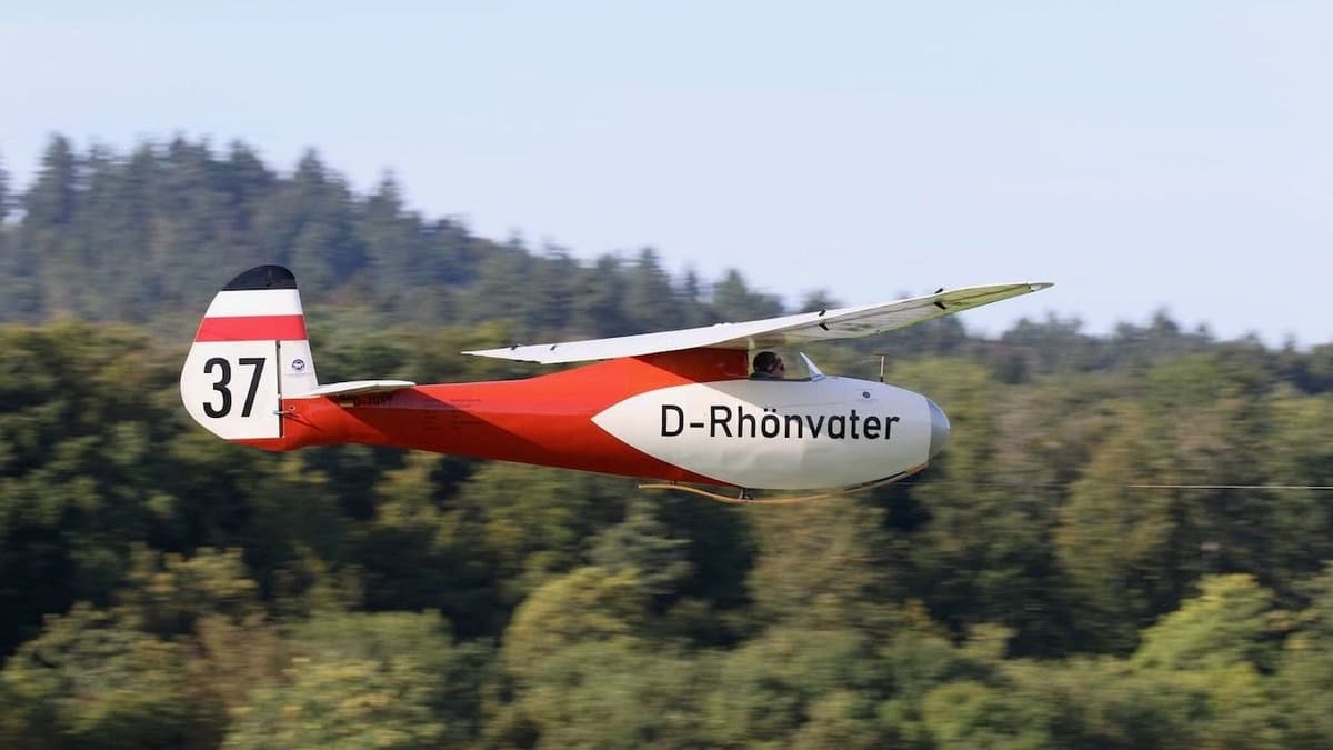 Rhönbussard im Landeanflug_1