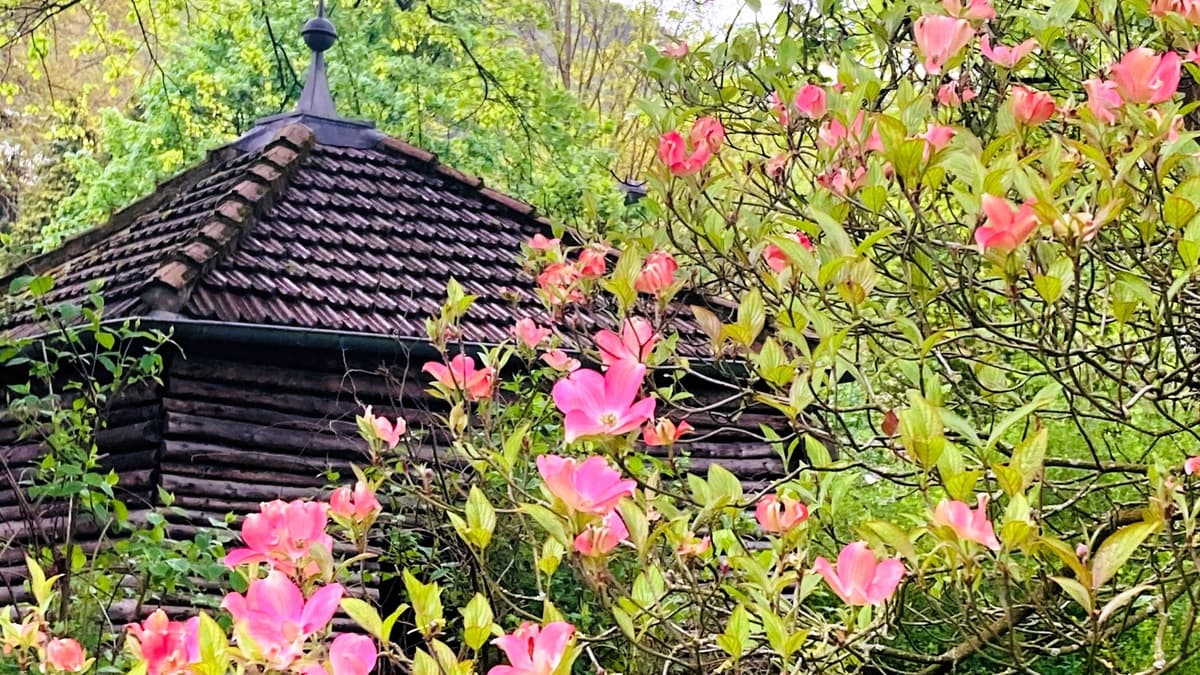 Haus Nachrodt Park Teehaus