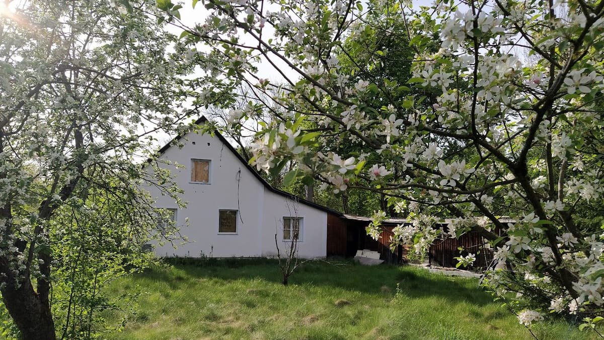 verlassenes Haus im Frühling