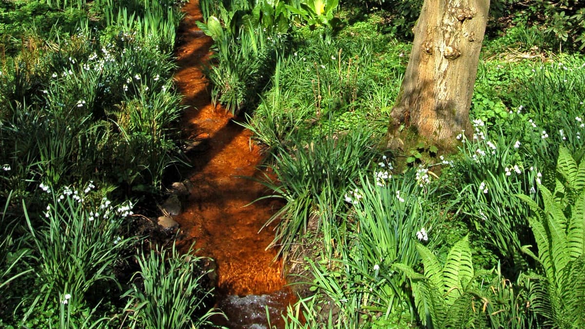 Der sogenannte Rote Bach weist auf den früheren Bergbau und die Vorkommen von Eisen und Kohle in der Region hin