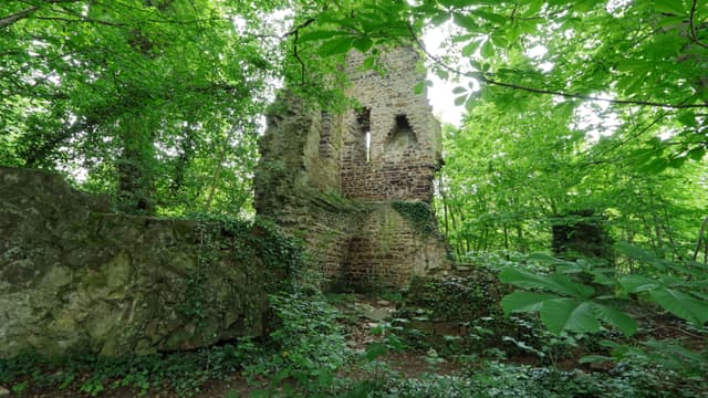 Kattenturm