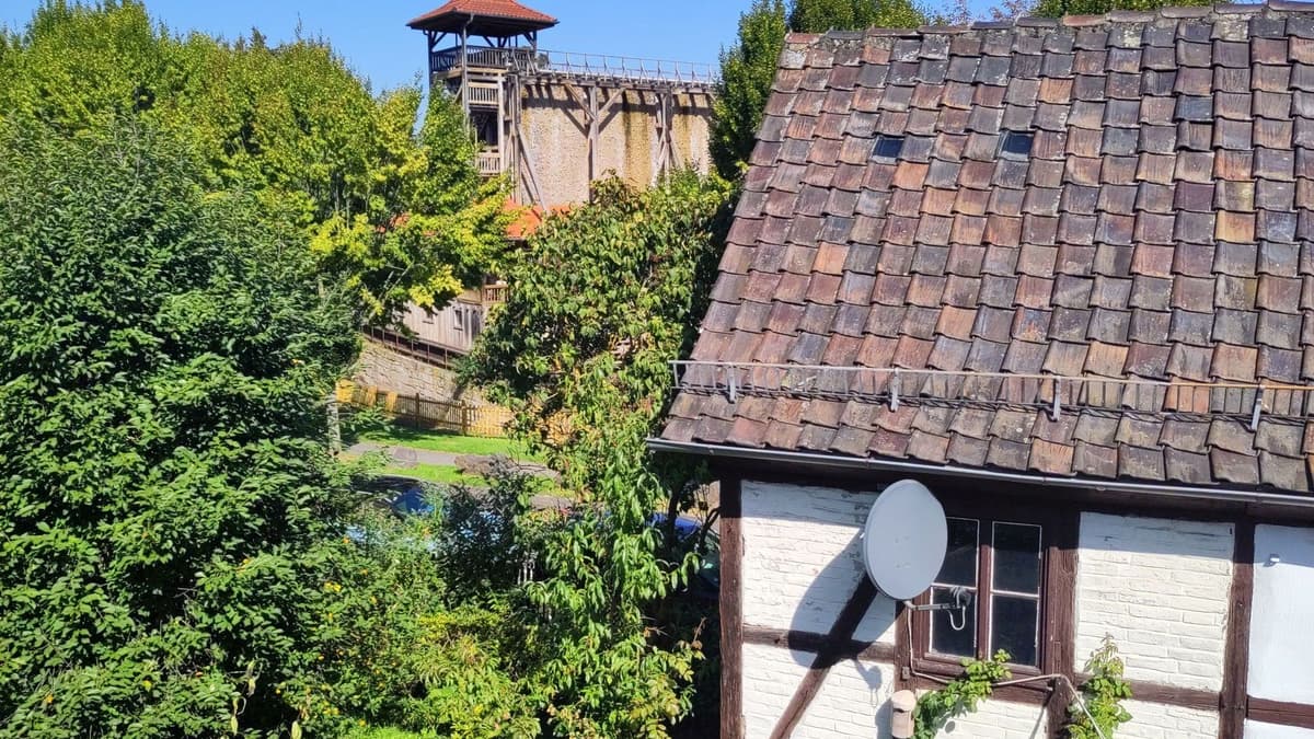 Blick in den Garten