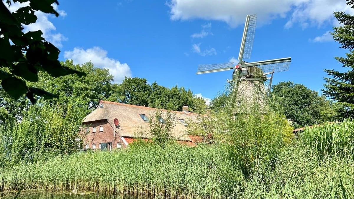Windmühle Felde