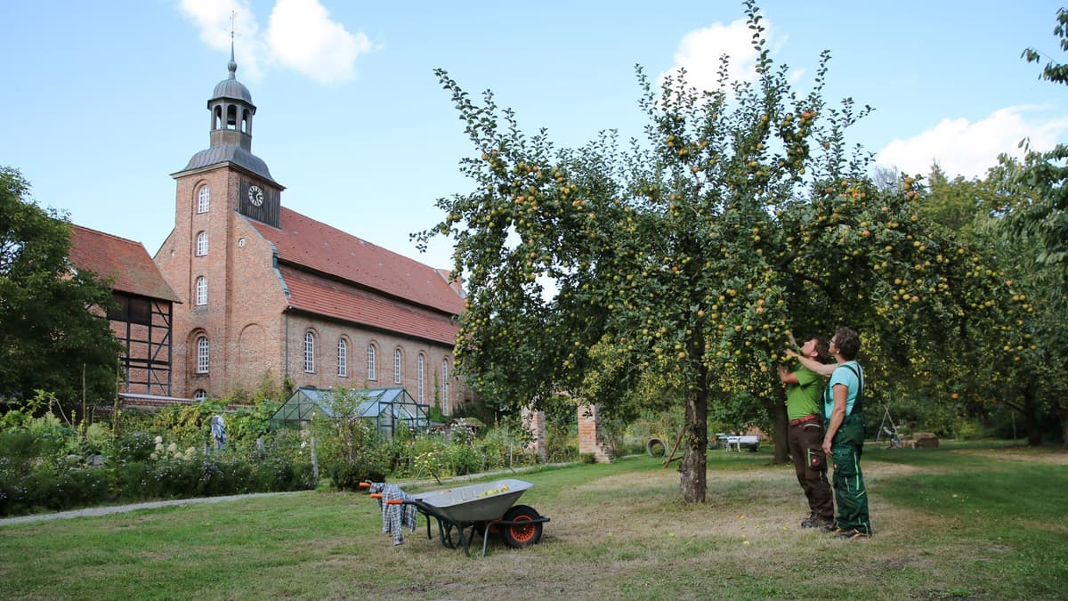 Kirchgarten – Küchengarten Schloss Gartow