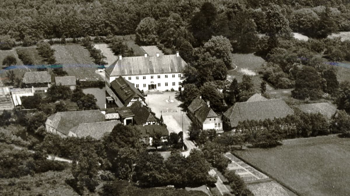 Historisches Luftbild