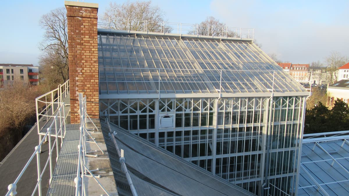 Palmenhaus von Süden