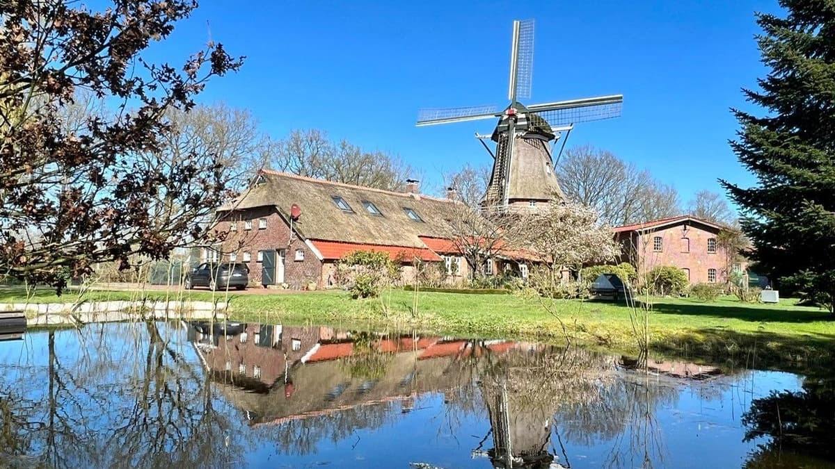 Windmühle Felde