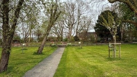 Park