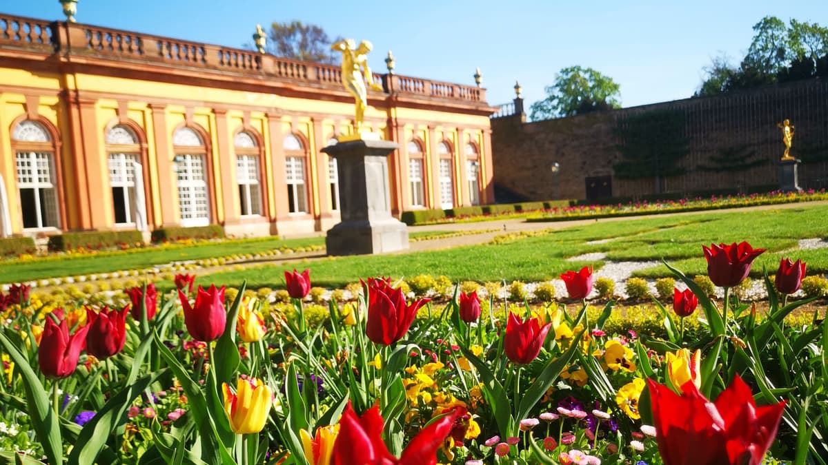 Weilburger Schlossgarten - Blütenpracht vor der Unteren Orangerie