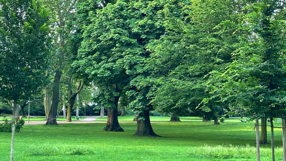 Stadtgarten, Frühjar 2024