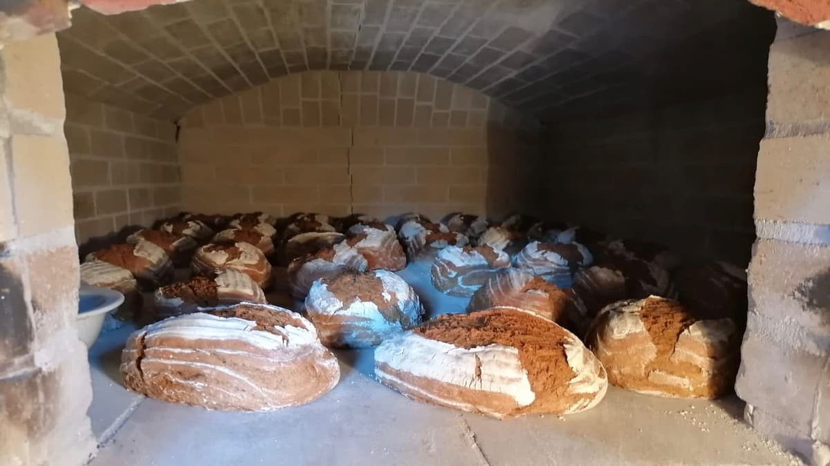 Steinofenbrot im Gewölbe Backhaus