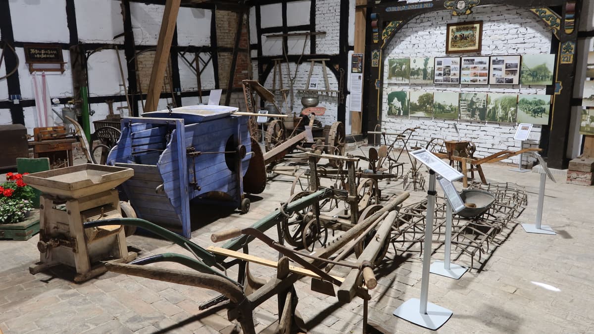 in der Ausstellung
