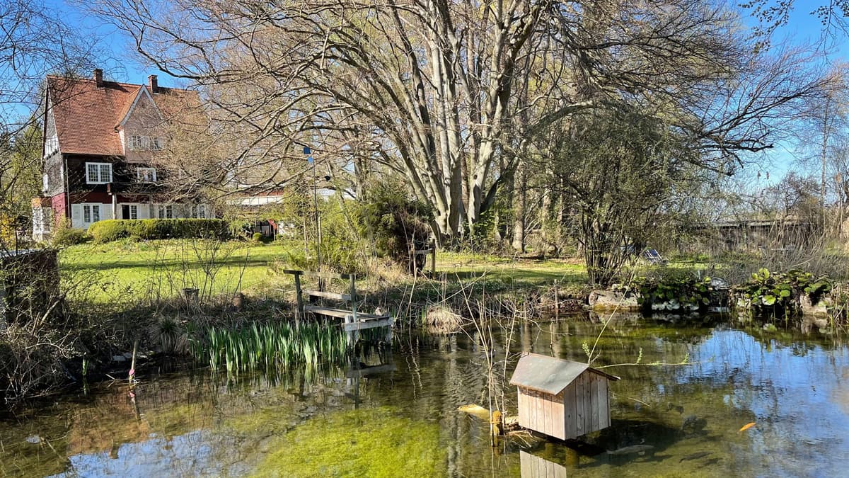 Blick über den Weiher