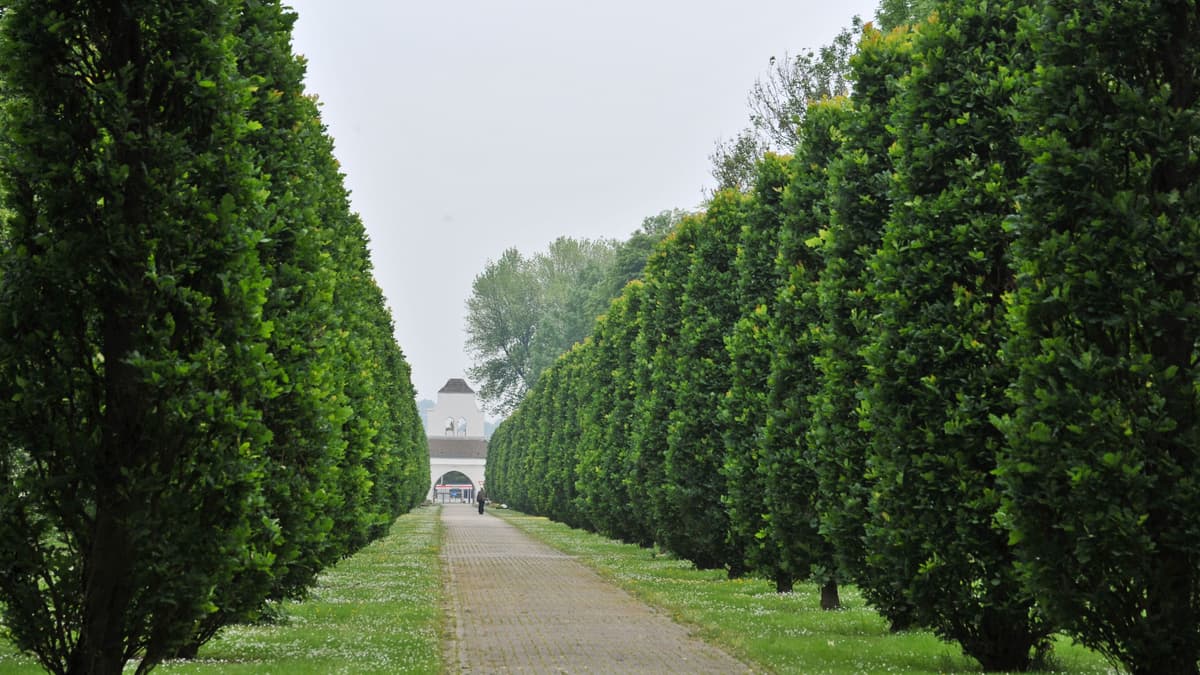 Mülheim an der Ruhr Hauptfriedhof Eichenallee