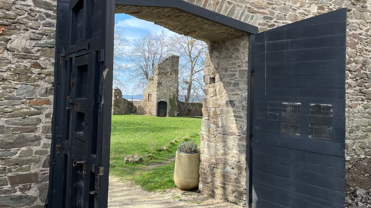Burg Sayn