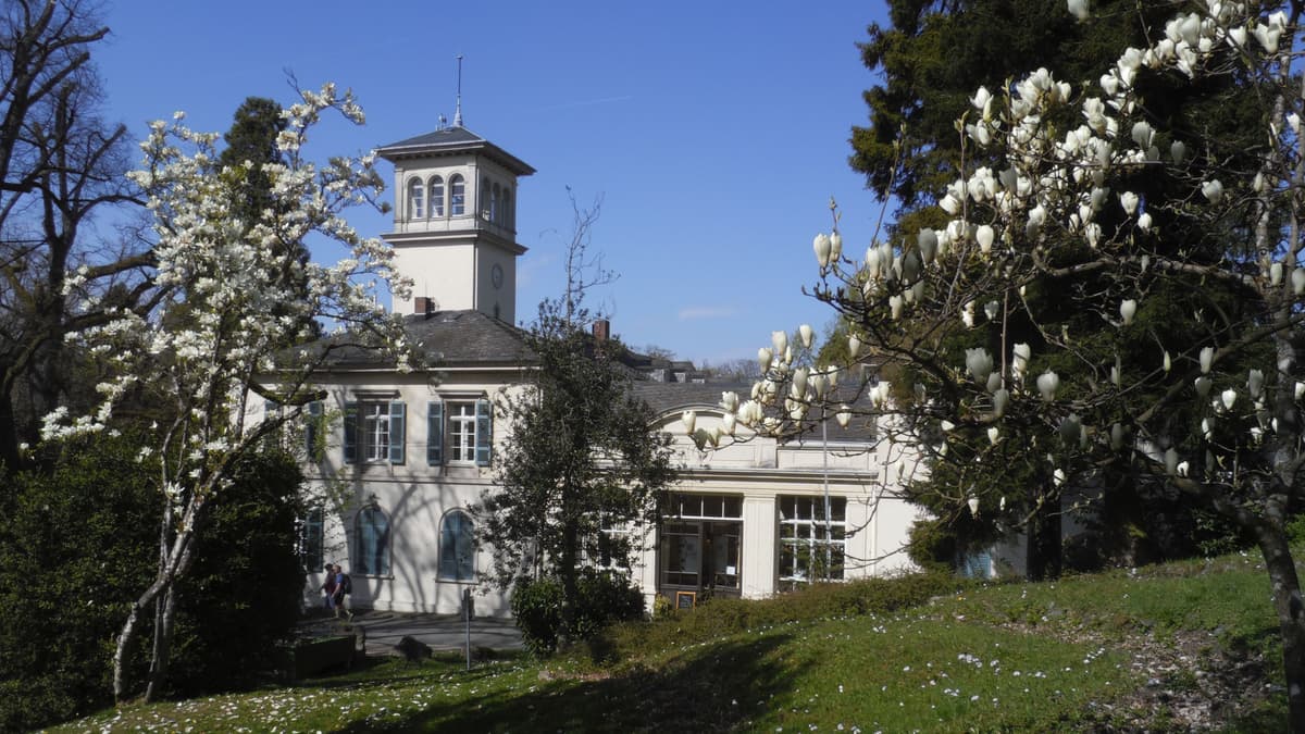Schloss Heiligenberg vom Rosenhang aus