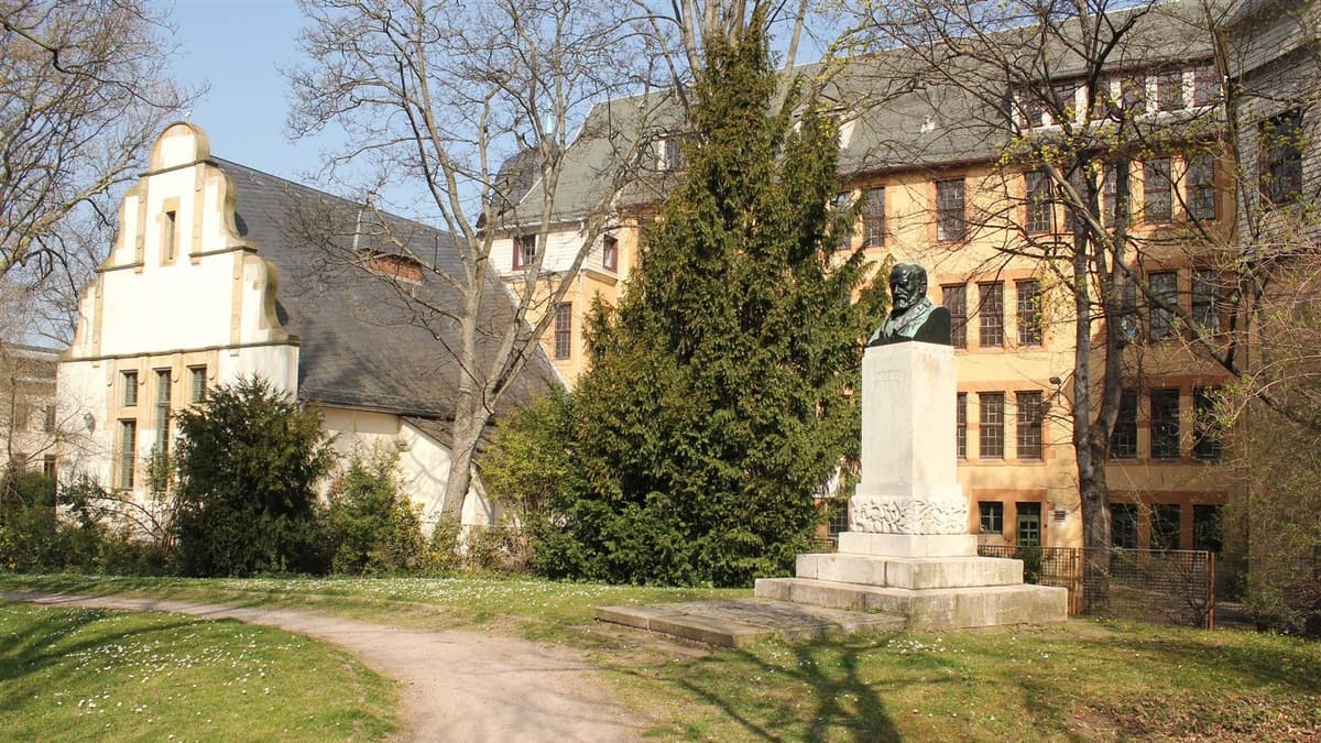 Lyzeum heute