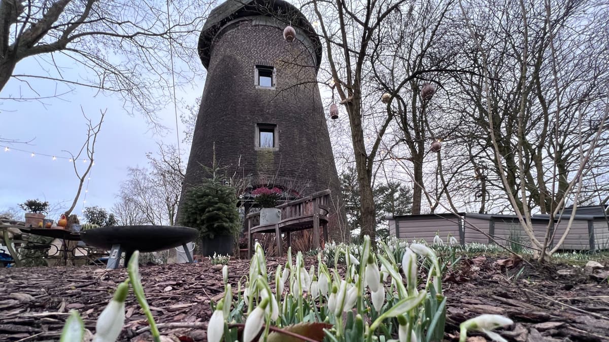 Die Heidbergmühle im Morgenfrühling