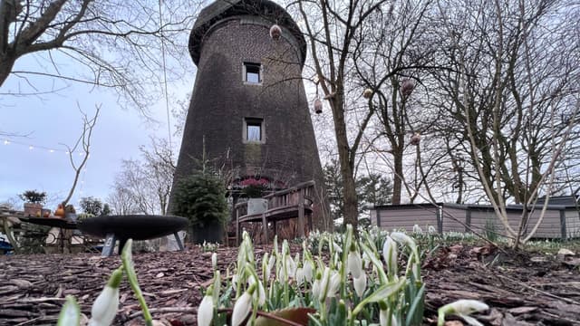 Heidbergmühle